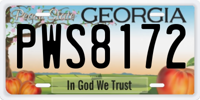 GA license plate PWS8172