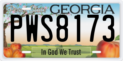GA license plate PWS8173
