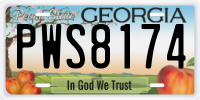 GA license plate PWS8174