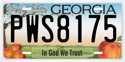GA license plate PWS8175