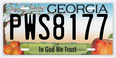 GA license plate PWS8177