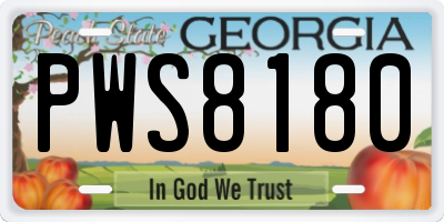 GA license plate PWS8180