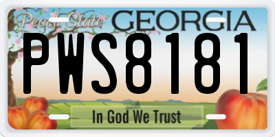 GA license plate PWS8181
