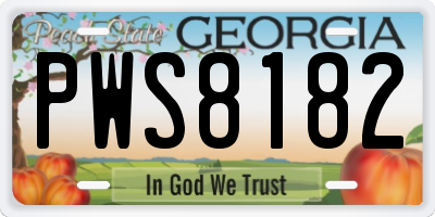 GA license plate PWS8182