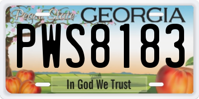 GA license plate PWS8183