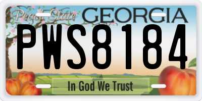 GA license plate PWS8184