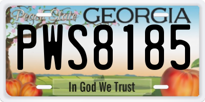 GA license plate PWS8185