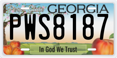 GA license plate PWS8187