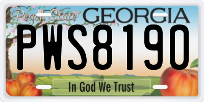 GA license plate PWS8190
