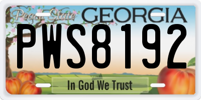 GA license plate PWS8192