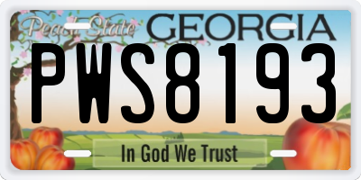 GA license plate PWS8193