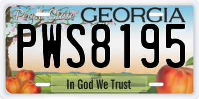 GA license plate PWS8195