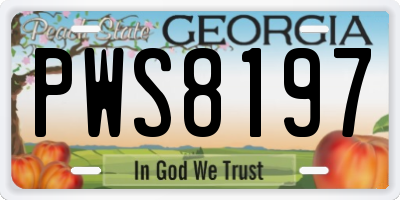 GA license plate PWS8197