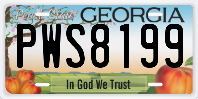 GA license plate PWS8199