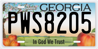 GA license plate PWS8205