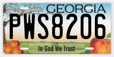 GA license plate PWS8206