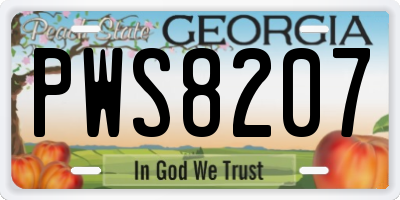GA license plate PWS8207