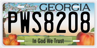 GA license plate PWS8208