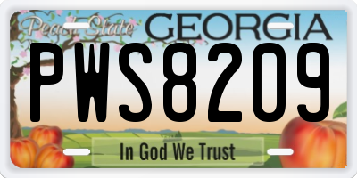 GA license plate PWS8209