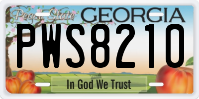 GA license plate PWS8210