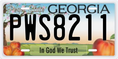 GA license plate PWS8211