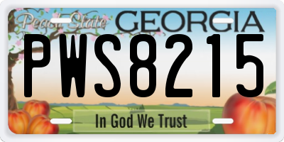 GA license plate PWS8215
