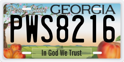GA license plate PWS8216