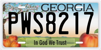 GA license plate PWS8217