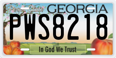 GA license plate PWS8218