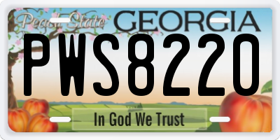 GA license plate PWS8220