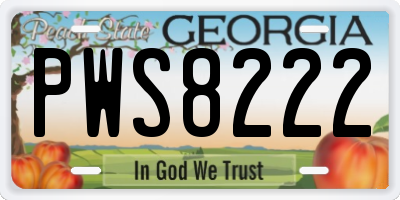 GA license plate PWS8222