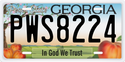 GA license plate PWS8224