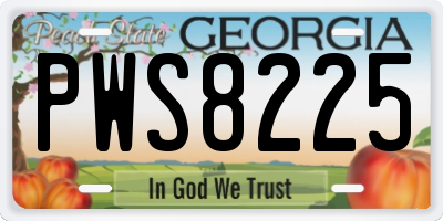 GA license plate PWS8225