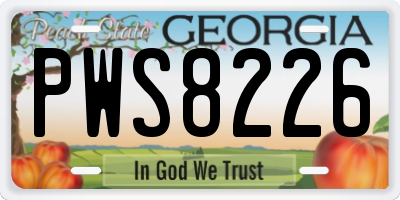 GA license plate PWS8226