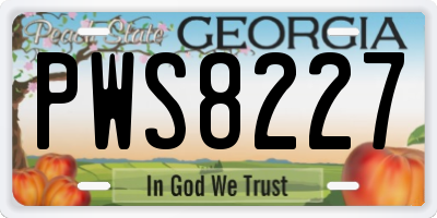 GA license plate PWS8227