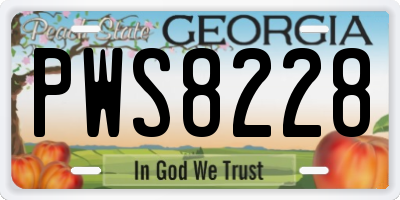 GA license plate PWS8228