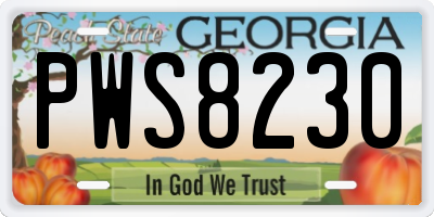 GA license plate PWS8230