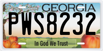 GA license plate PWS8232