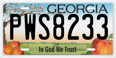 GA license plate PWS8233