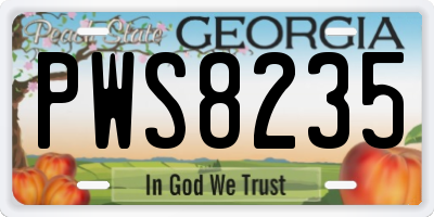 GA license plate PWS8235