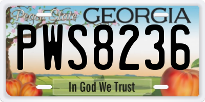 GA license plate PWS8236