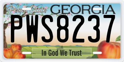GA license plate PWS8237