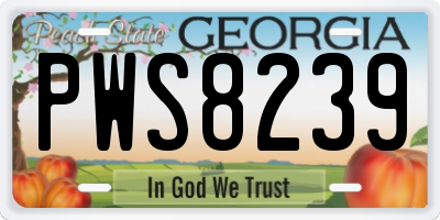 GA license plate PWS8239