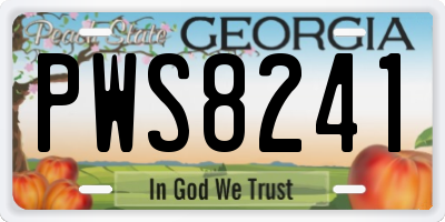 GA license plate PWS8241