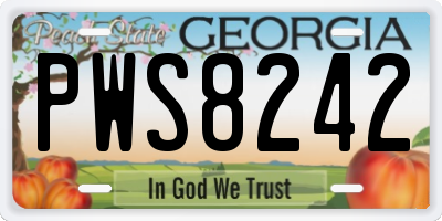 GA license plate PWS8242