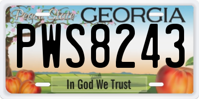 GA license plate PWS8243