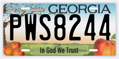 GA license plate PWS8244