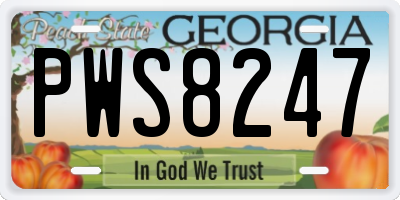 GA license plate PWS8247