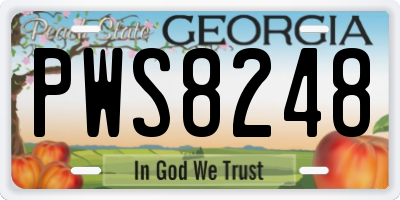 GA license plate PWS8248