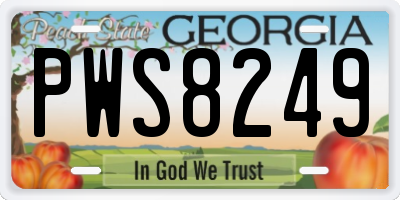 GA license plate PWS8249
